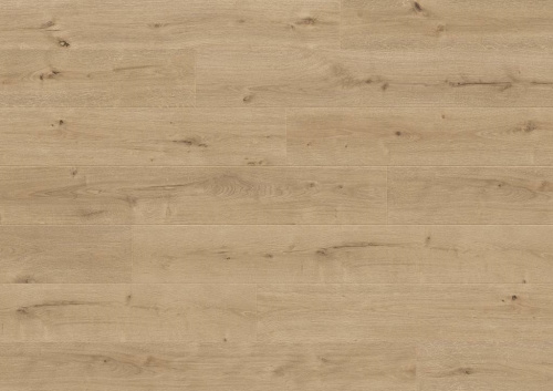 Balterio Дуб Сонора 020