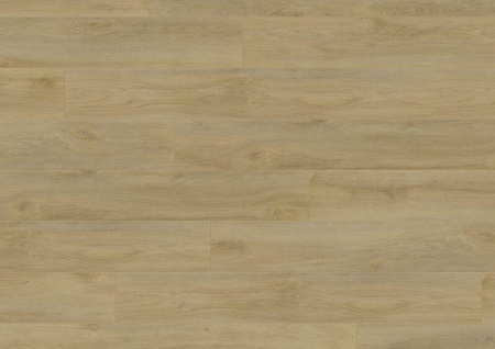 Eurowood Дуб Саншайн