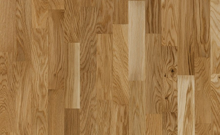 Focus Floor Дуб Глосси без отбора