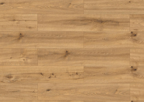Classen Pro Nature Soledad 62538