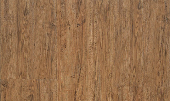 Progress 249 Oak France