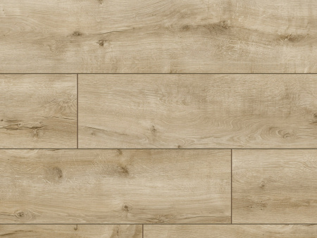 Arteo 8 XL Дуб Пикус 49717