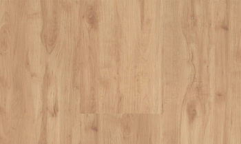 Progress 215 Swiss Apple