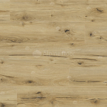 Arteo 8 M WR Дуб Анаргоса 62747