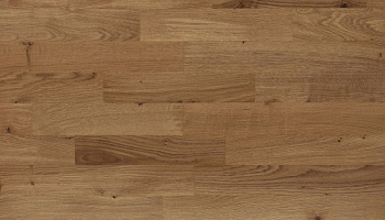 Polarwood Oak Native