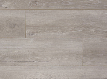 Palitra Ash Malmo