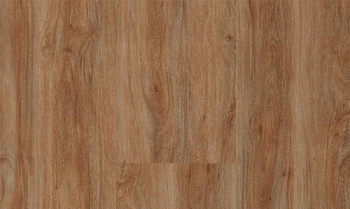 Progress 222 Eucalyptus