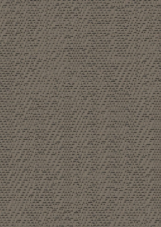 Bolon Visual