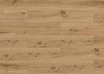 Classen Pro Nature Caldas 62543