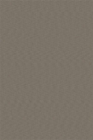 Bolon Gracious