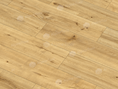 Classen Pro Nature Mocoa 62536