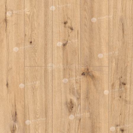 Classen Pro Nature Oak Poprad 64634