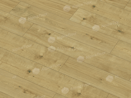 Classen Pro Nature Nore 61865
