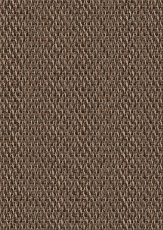 Bolon Gabna