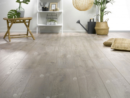 Homflor Strong Long Island 536