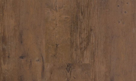 Progress 204 Old Spruce Smoked