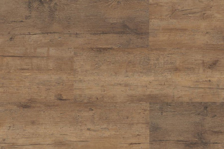 Vinyline Larch Kloten