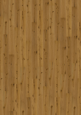Wicanders WOOD Parquet RW04402 Дуб Рига
