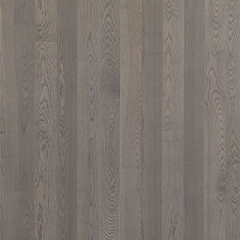 Polarwood Ash Premium Stellar