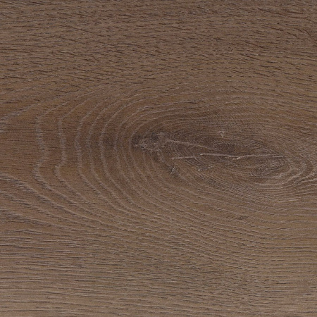 Homflor Patio Olbia Oak 560