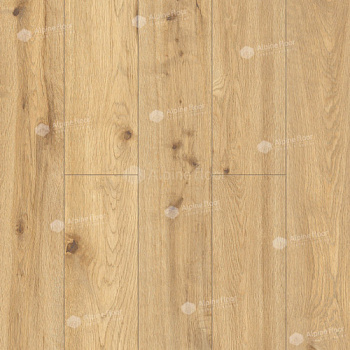 Classen Pro Nature Miranda 62539