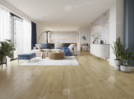 Classen Pro Nature Nore 61865