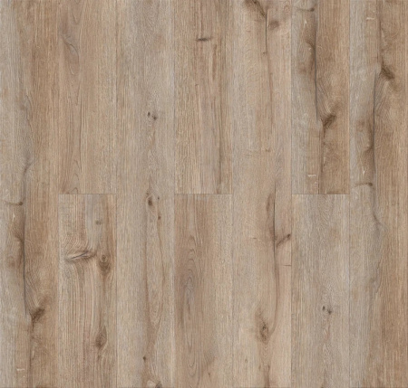Noventis Дуб Янтарный 1587