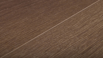 Thys Sevilla Oak 517605