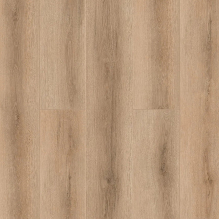 Tulesna Verano Bellone 1002-17