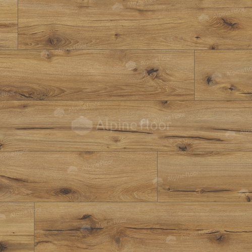 Arteo 8 M WR Дуб Эрг 62750