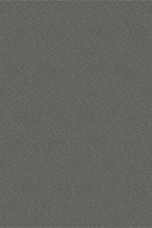 Bolon Texture Grey